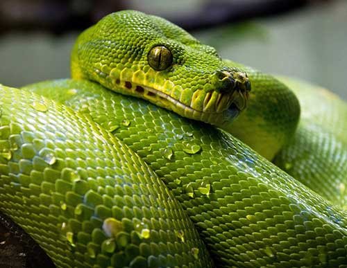 Photography Courses 101